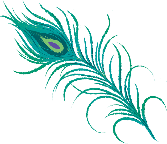 Detailed Storybook Indian Festival Peacock Feather